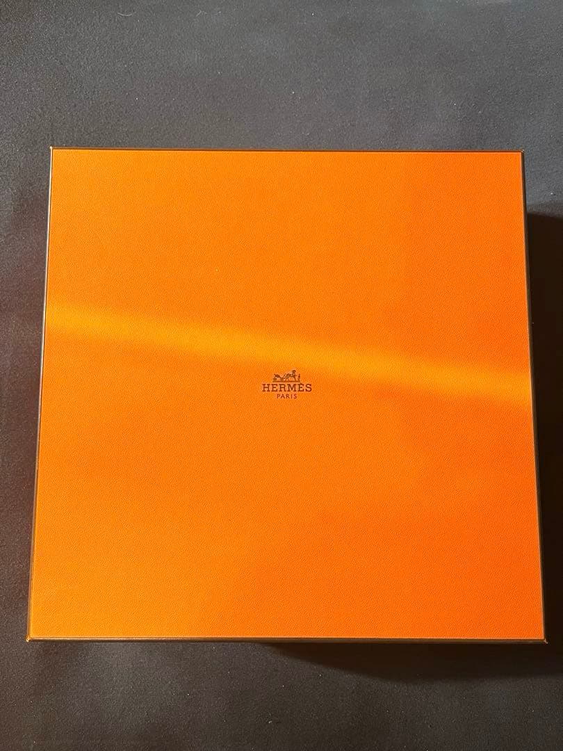 【新品未使用】HERMESパスタプレート 〈ソレイユ・ドゥ・エルメス〉