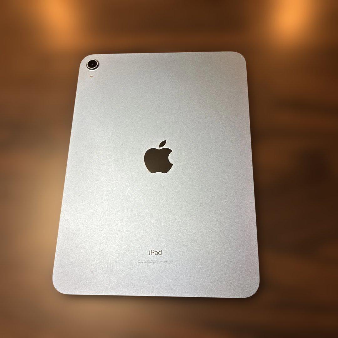 Apple iPad 256GB Wi-Fi 本体