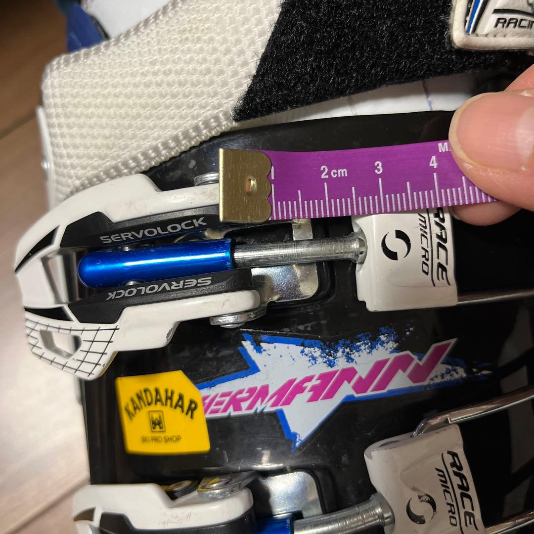 ノルディカ★ドーベルマン ジュニアWORLD CUP 100