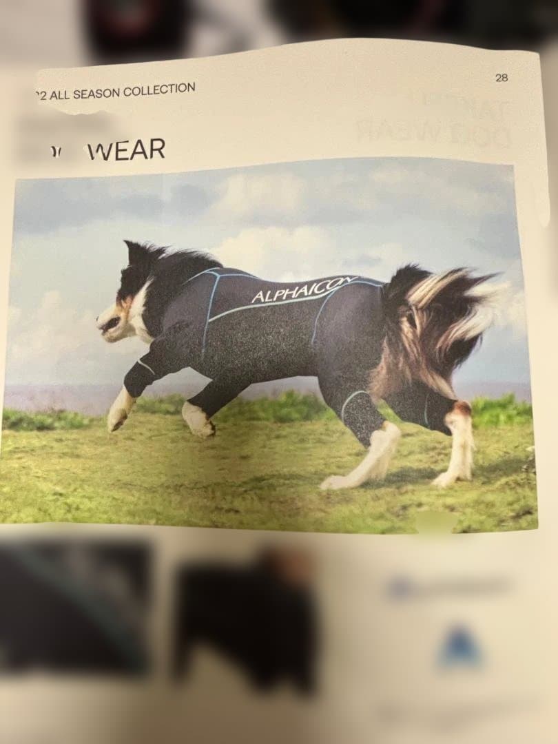 ALPHAICON PHITEN DOG WEAR 4L （ブラック）