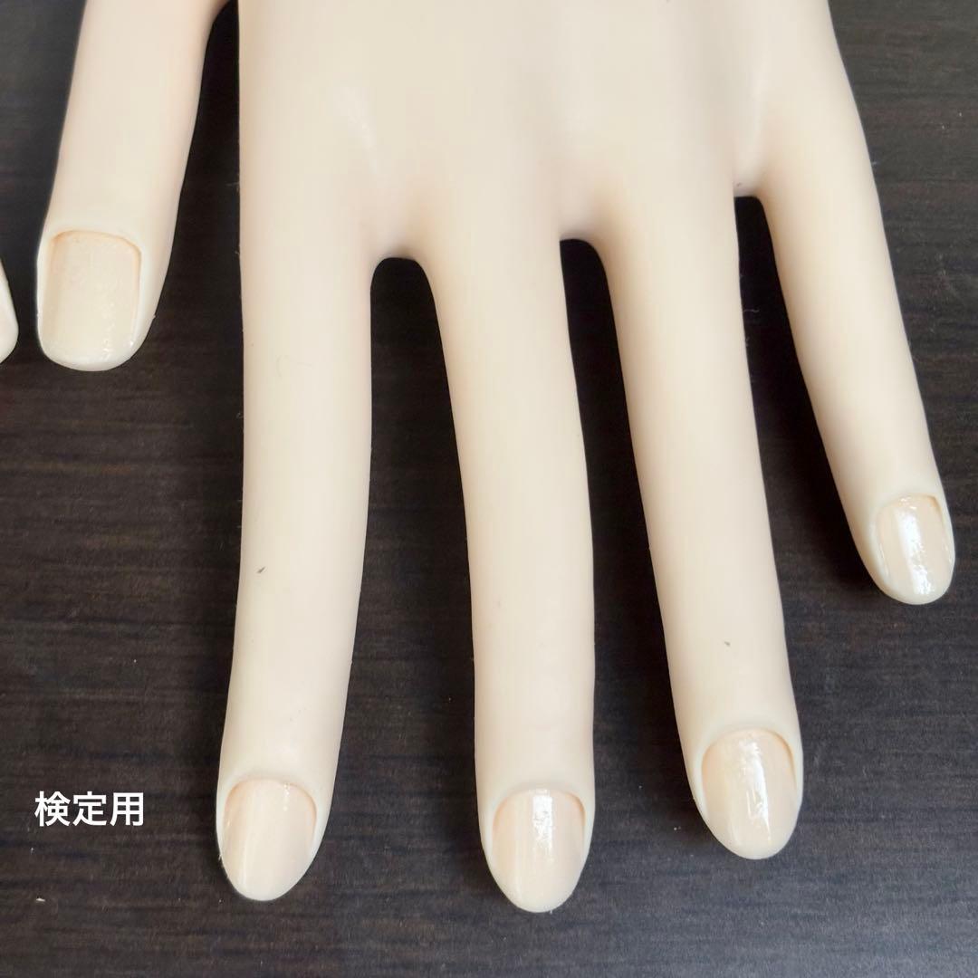 JENEC認定モデルハンド 2個セット ネイルアート練習用 検定用 チップ付き