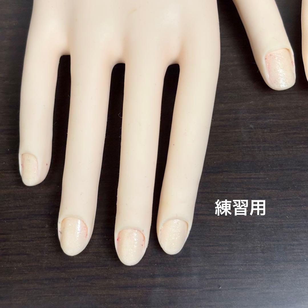 JENEC認定モデルハンド 2個セット ネイルアート練習用 検定用 チップ付き