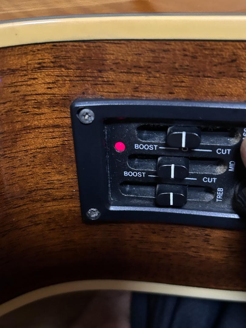 M*.様 Morris　　MR-451NY　エレアコ