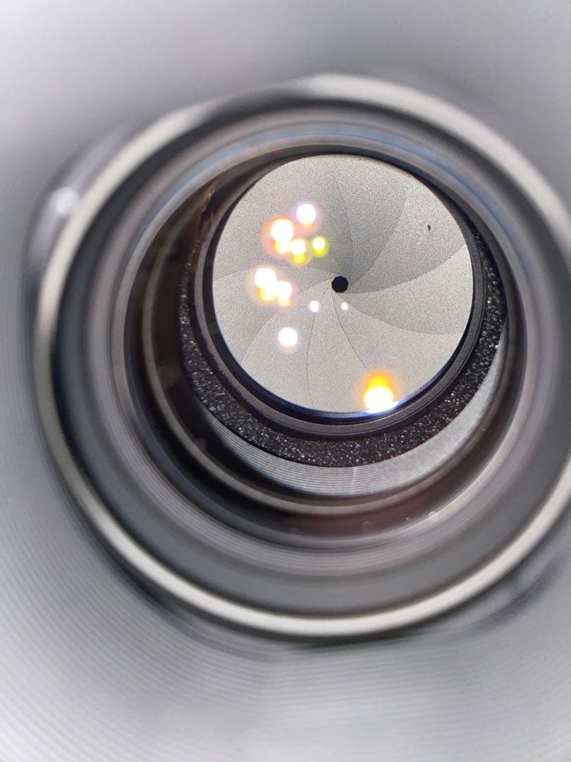 ニコン AF-S VR ED 70-200mm F2.8G（IF）ライトグレー