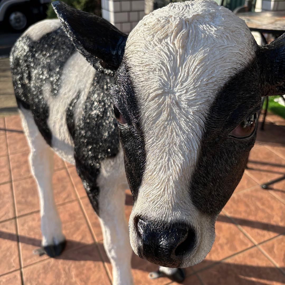 子牛 飾り 本物ぽい