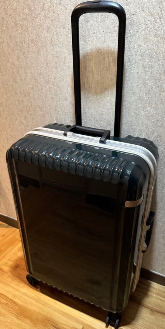 ace. パリセイドフレームタイプスーツケース 61L