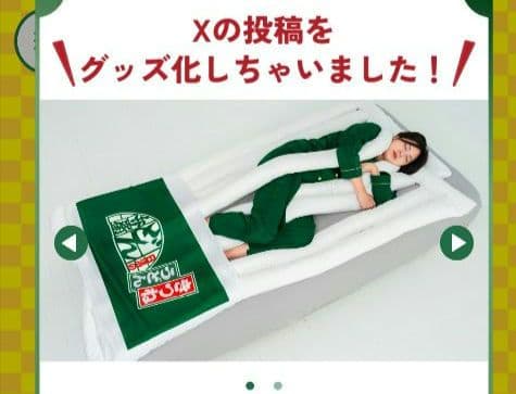 日清食品　あのどん兵衛グッズ 「うどん布団」