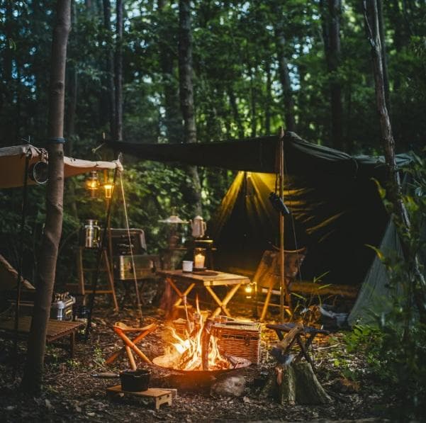 ロックシールドTC グリーン ＋ MICABIN ＋ ダブルインナーのフルセット