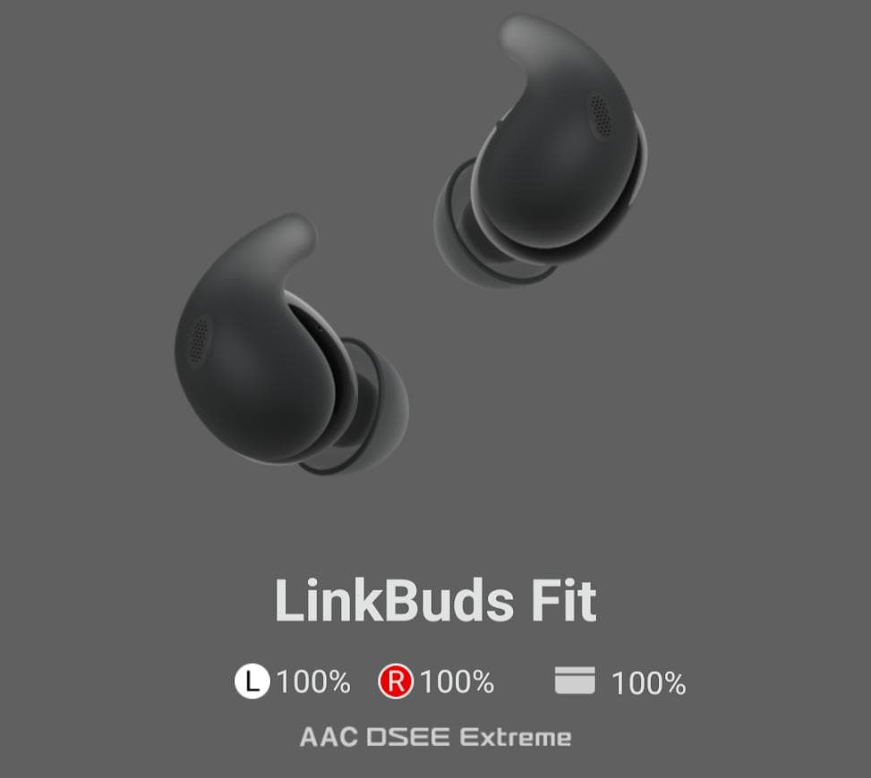 【中古】ソニー LinkBuds Fit WF-LS910N ワイヤレスイヤホン