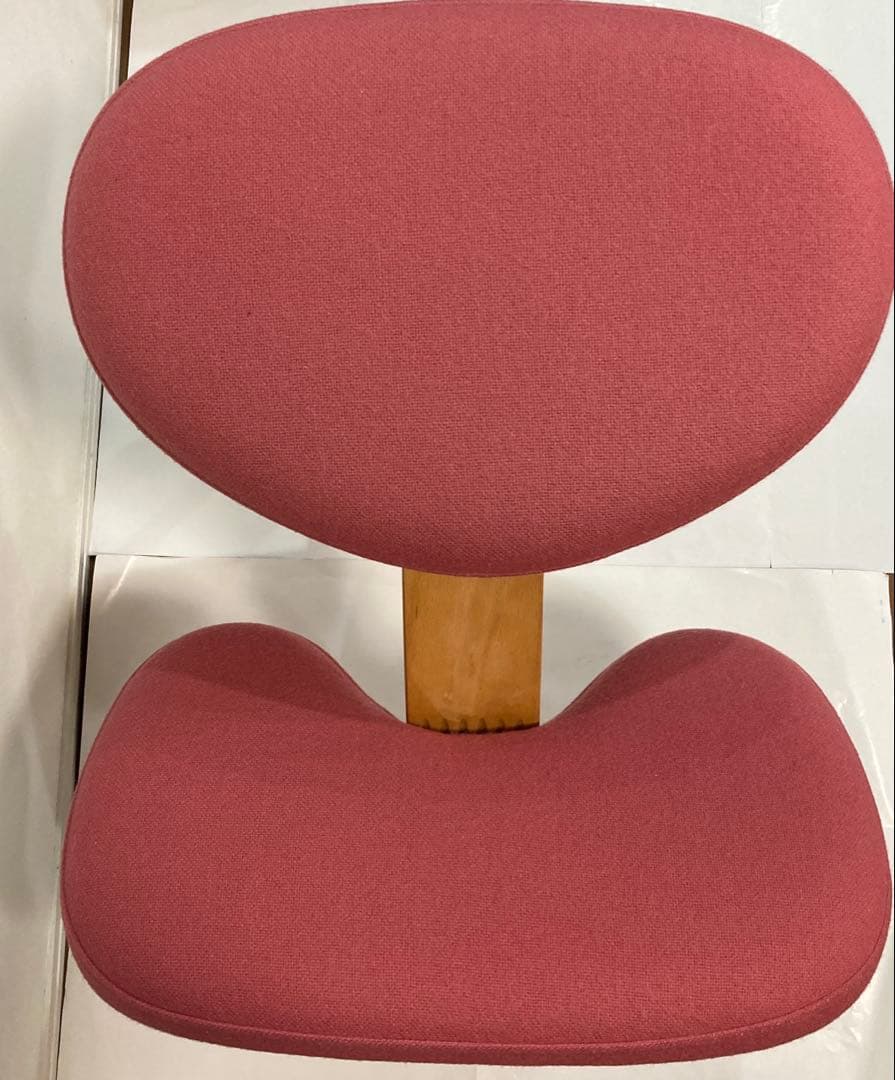 バランスイージー Rybo ピンク balans EASY チェア　カバー付き