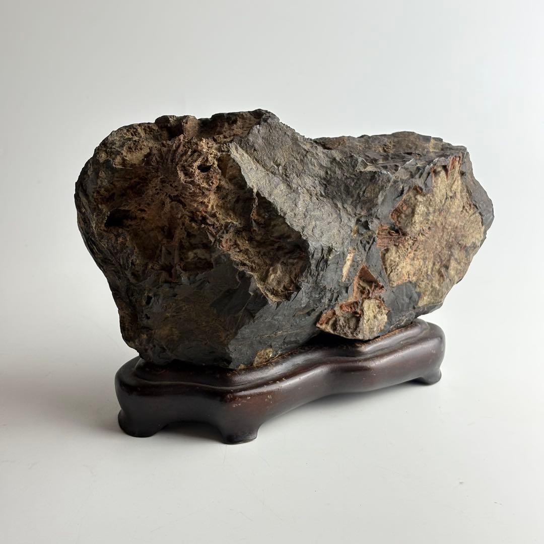 古美術 菊花石 飾石 天然石 盆石 鑑賞石