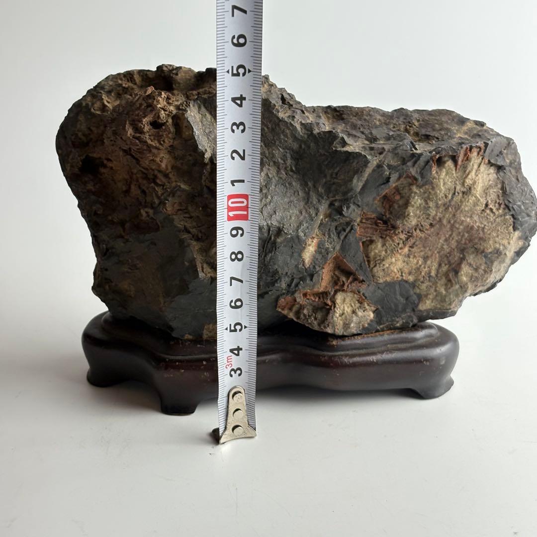 古美術 菊花石 飾石 天然石 盆石 鑑賞石