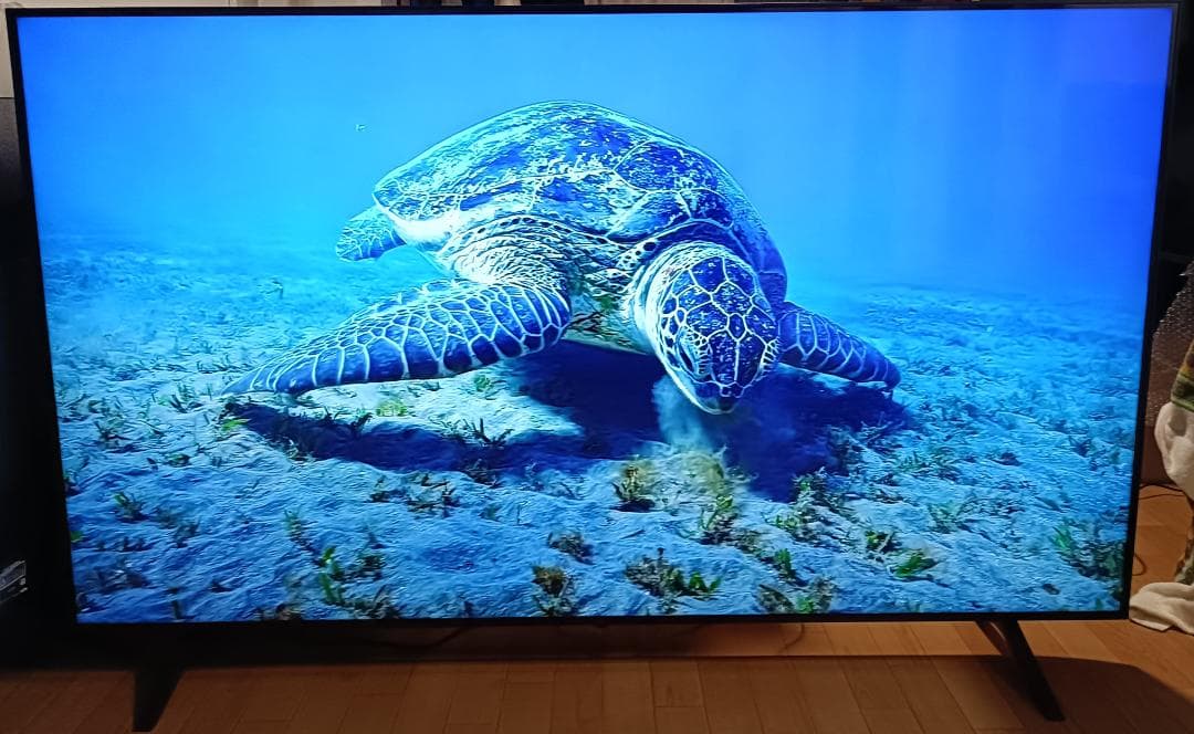 みやちゃん　美品 23年製 75V型 LG 75UQ8000PJC