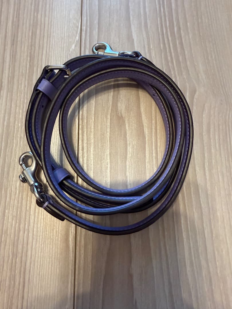 COACH　アンドレア　ミニ　キャリーオール