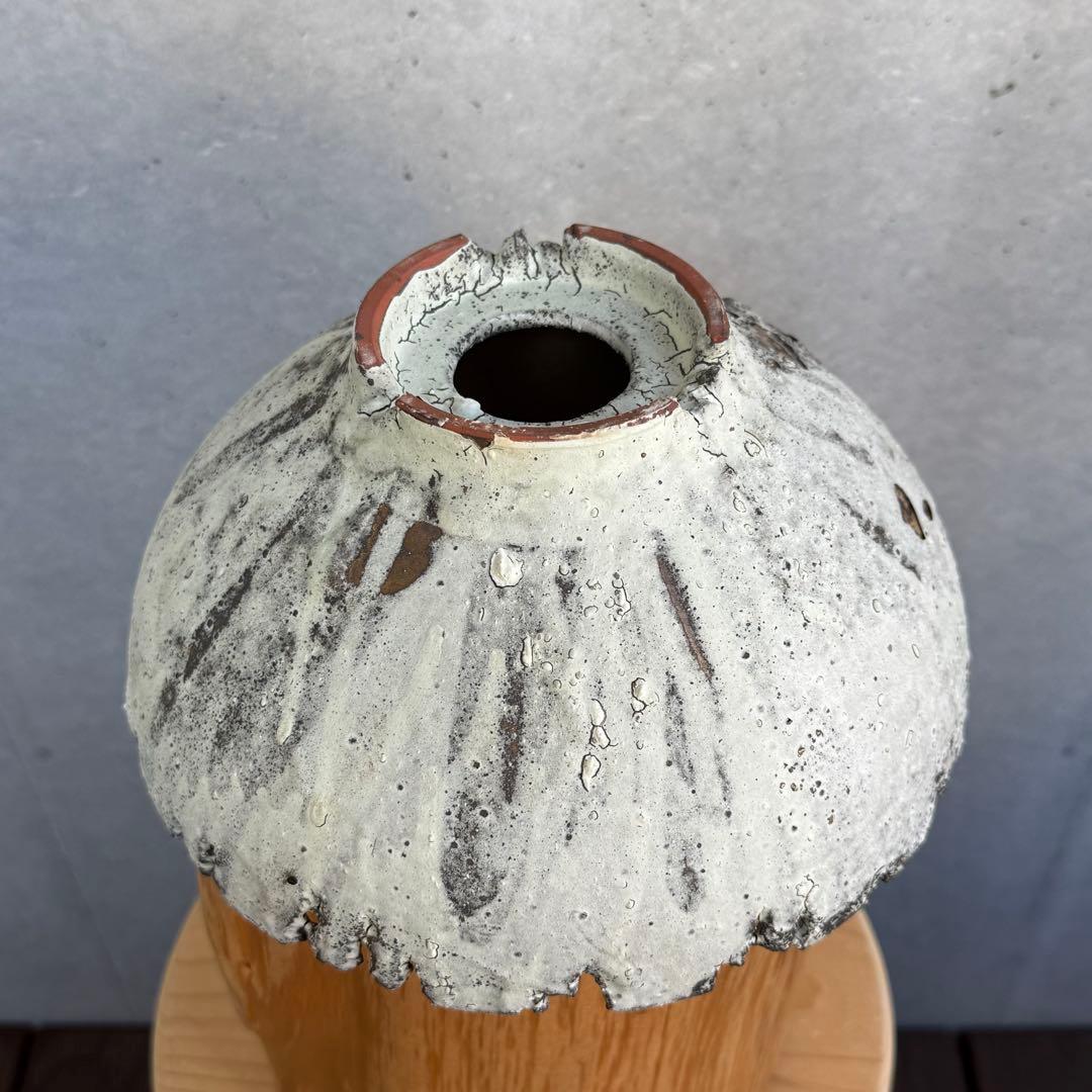 たけろうポット 安西岳郎 芽の巣山 大鉢