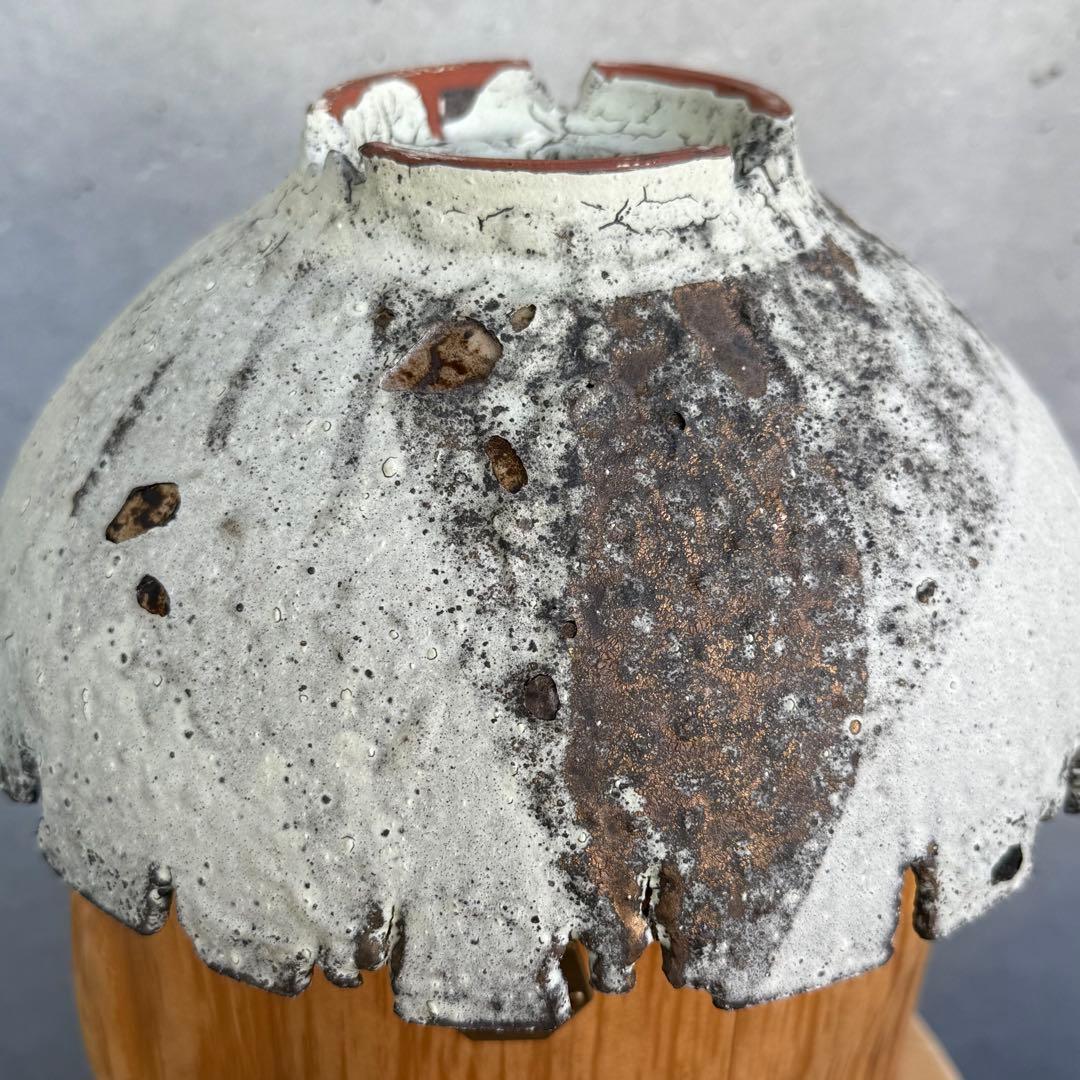 たけろうポット 安西岳郎 芽の巣山 大鉢