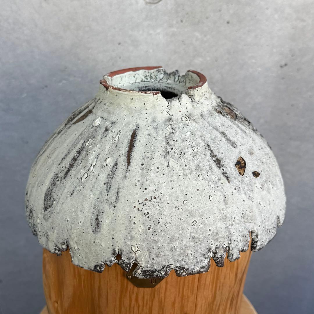 たけろうポット 安西岳郎 芽の巣山 大鉢