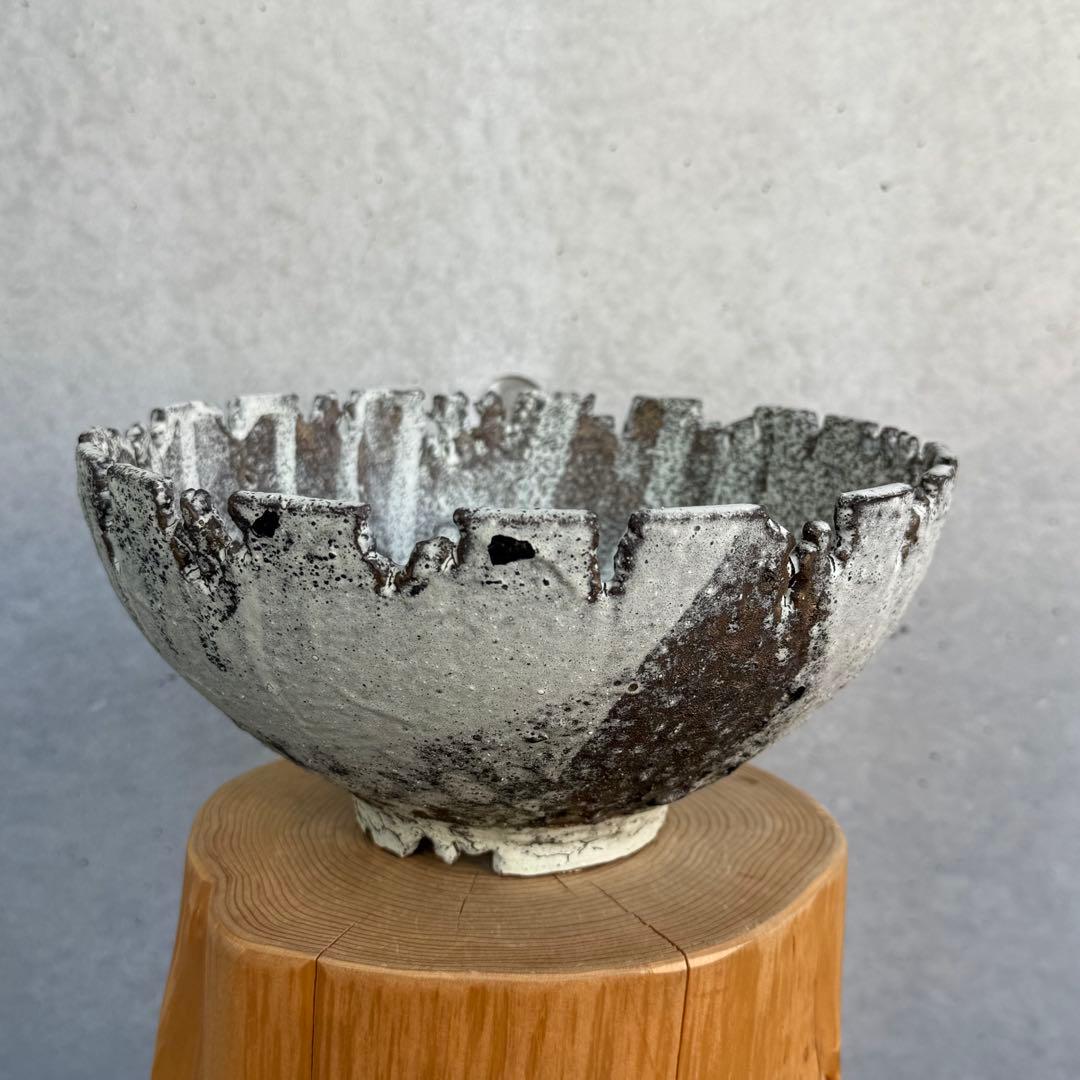 たけろうポット 安西岳郎 芽の巣山 大鉢