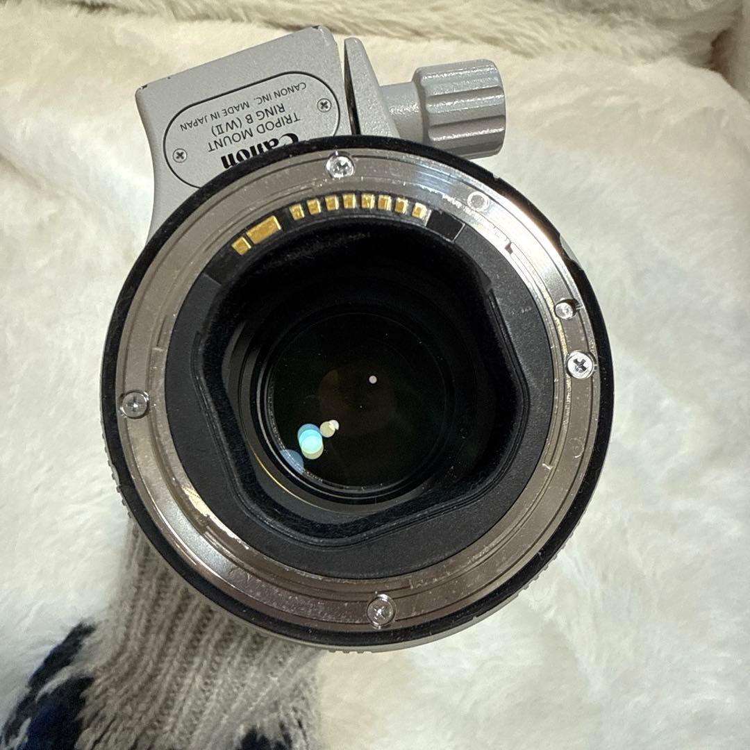 レンズ(ズーム) Canon EF 70-200mm f/2.8L IS III USM