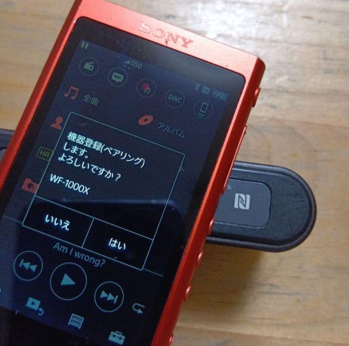 苺*福様 SONYウォークマン　NW-A55