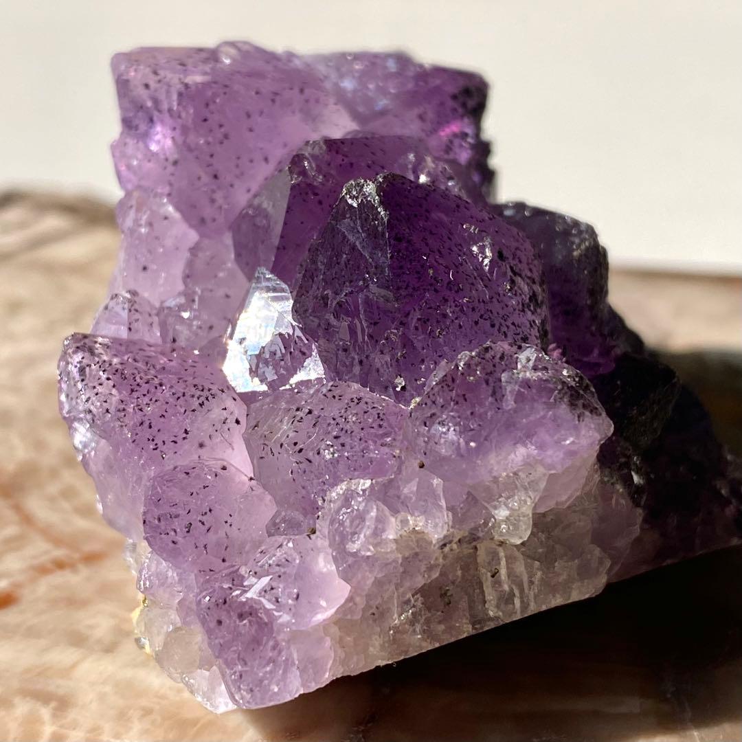 ヤシの実様　お受け取りまでのご確認用ページ