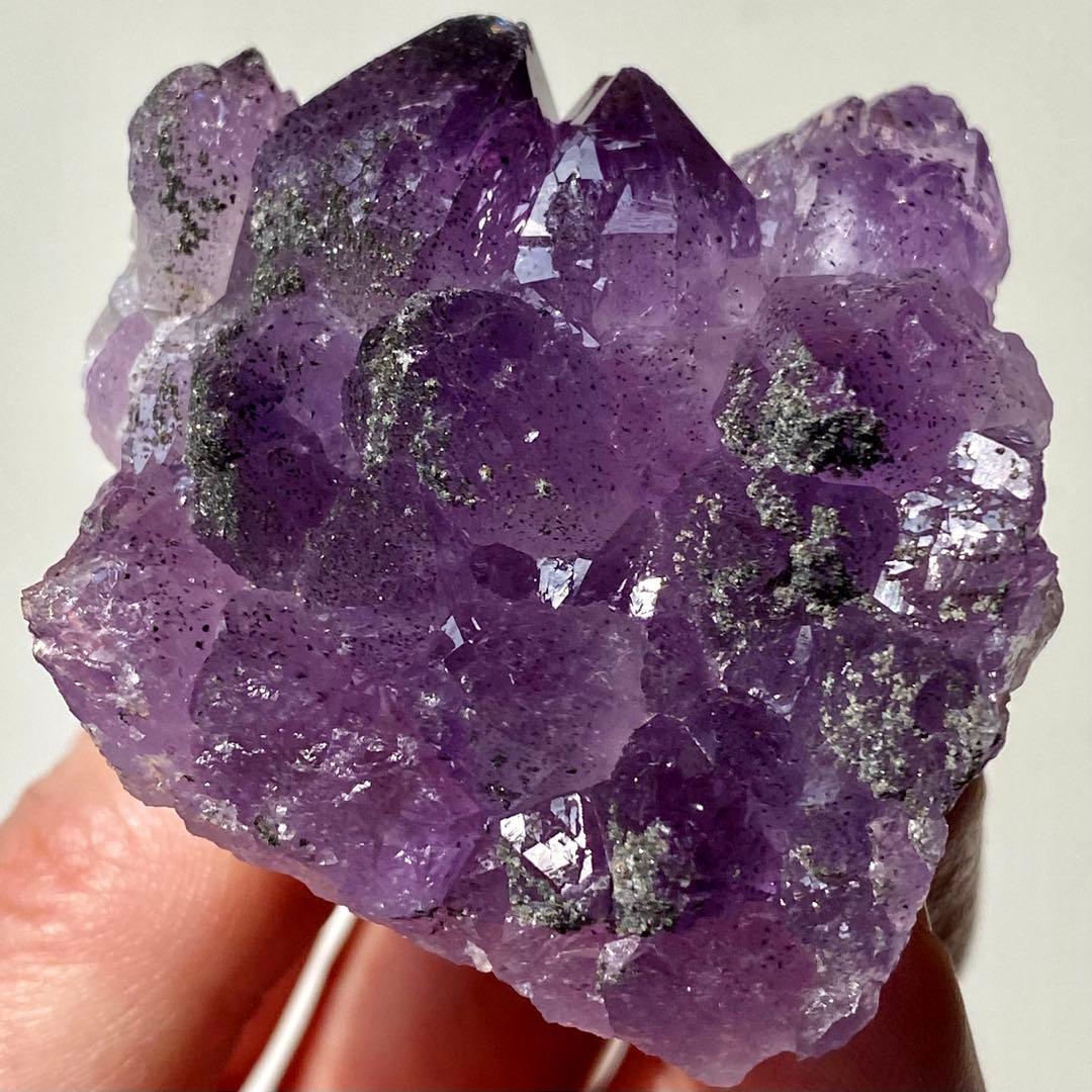 ヤシの実様　お受け取りまでのご確認用ページ