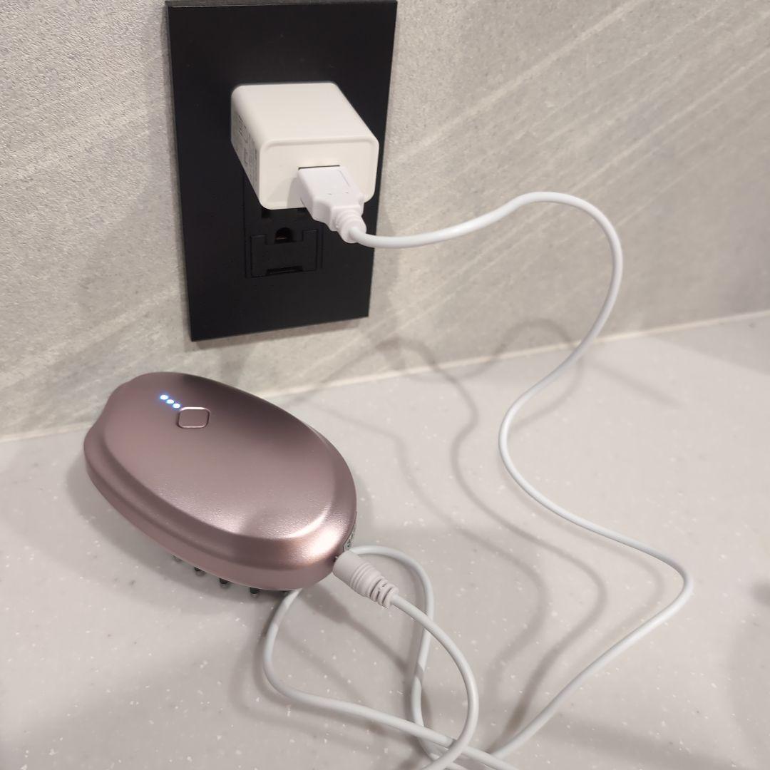 電気ブラシモッサーモ