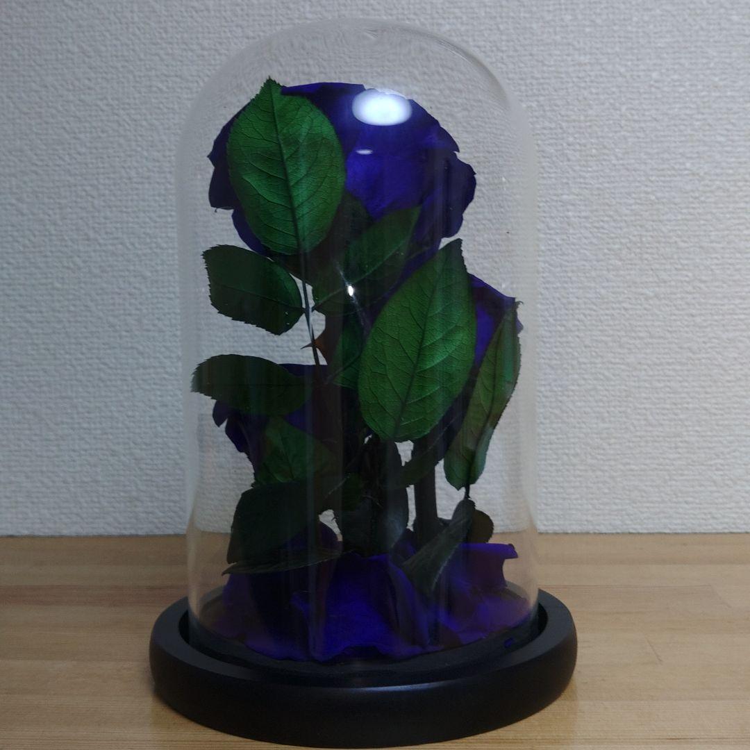 プリザーブドフラワー　ガラスドーム　 ローズメリア 3輪　ブルー　青