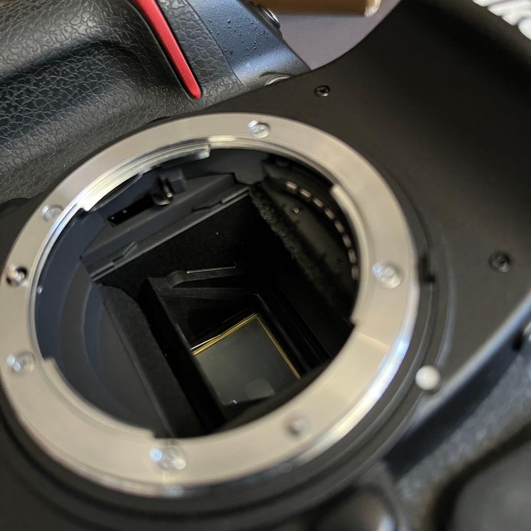 最終値下げ、3日までNikon D300s デジタル一眼レフカメラ