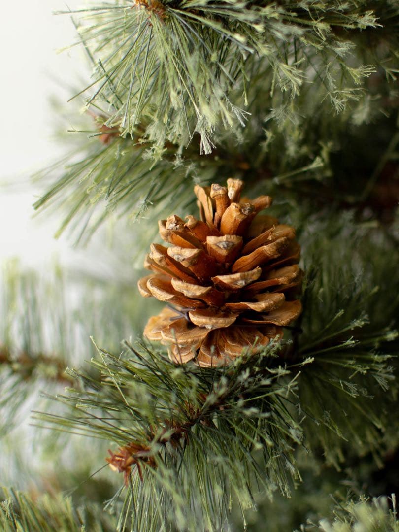 ANTRY クリスマスツリー LEDライト付き　150cm