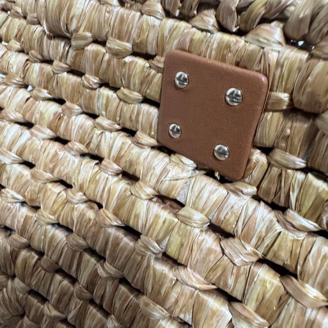 【未使用級】サルヴァトーレフェラガモ Studio Box bag ガンチーニ