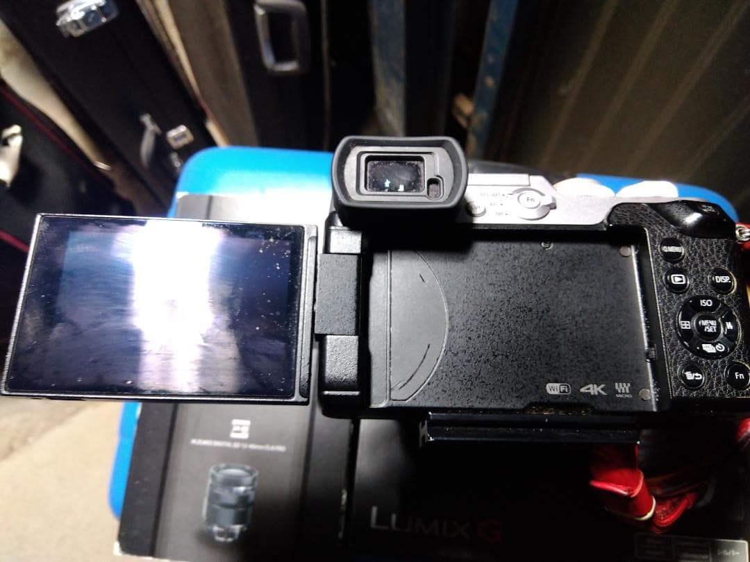 パナソニック GX8 + Leica DG Nocticron + フィルター