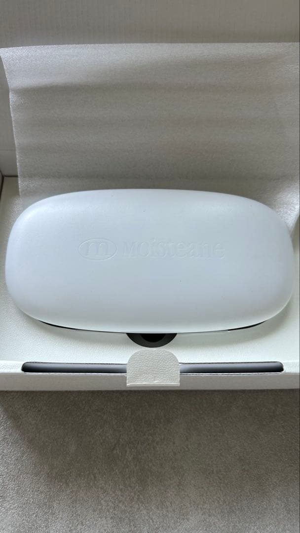 モイスティーヌ　美顔器