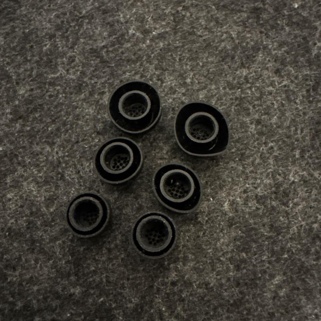 【ケース付】Sennheiser Momentum True Wireless4