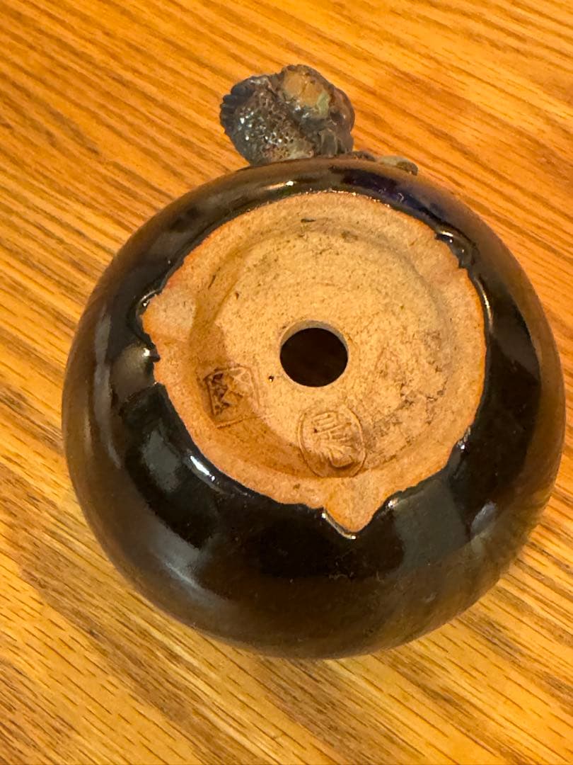 岡谷是心　鉢　盆栽