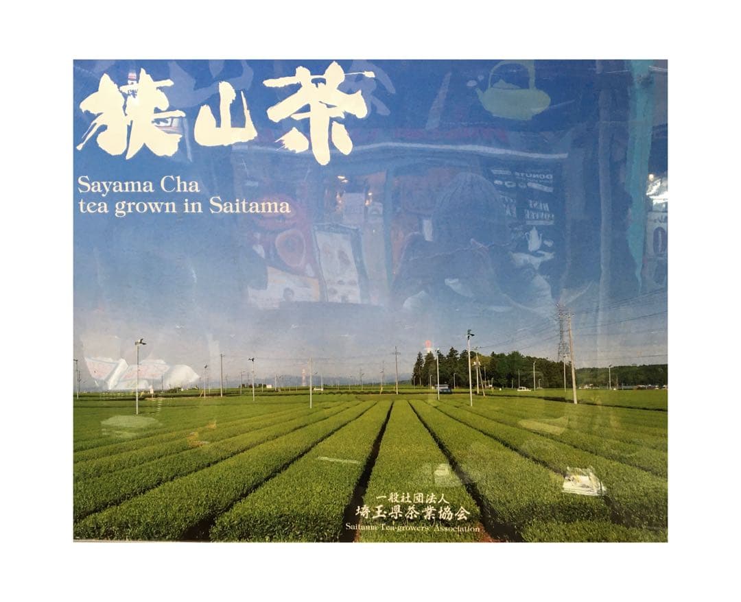 【専用】新茶☆煎茶x66本(令7年産)一番茶☆深蒸し緑茶☆日本茶☆お茶☆狭山茶