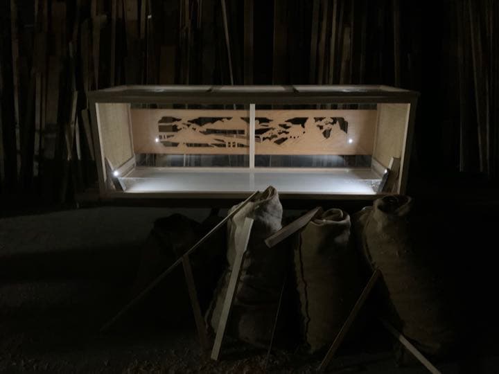 和製爬虫類ケージ