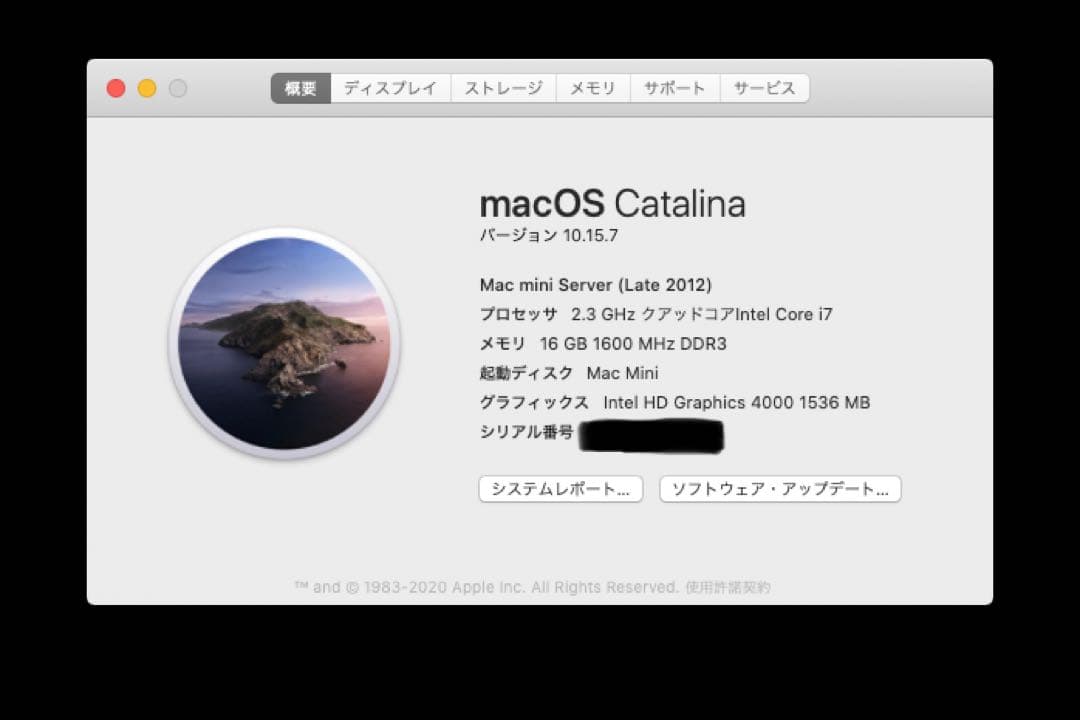 Mac mini Server 2012 16GB 2x1TB SSD【値下げ】