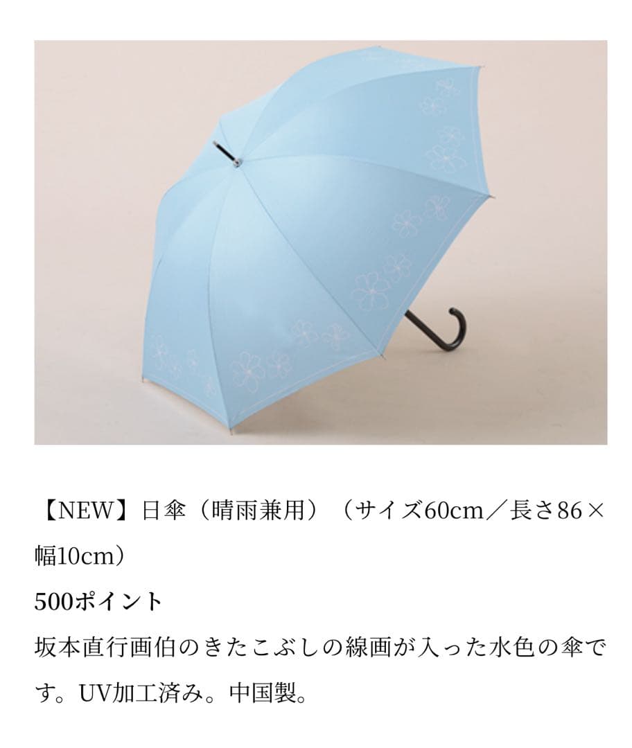 六花亭　紙袋1枚　ポイントカードでヌン活♡