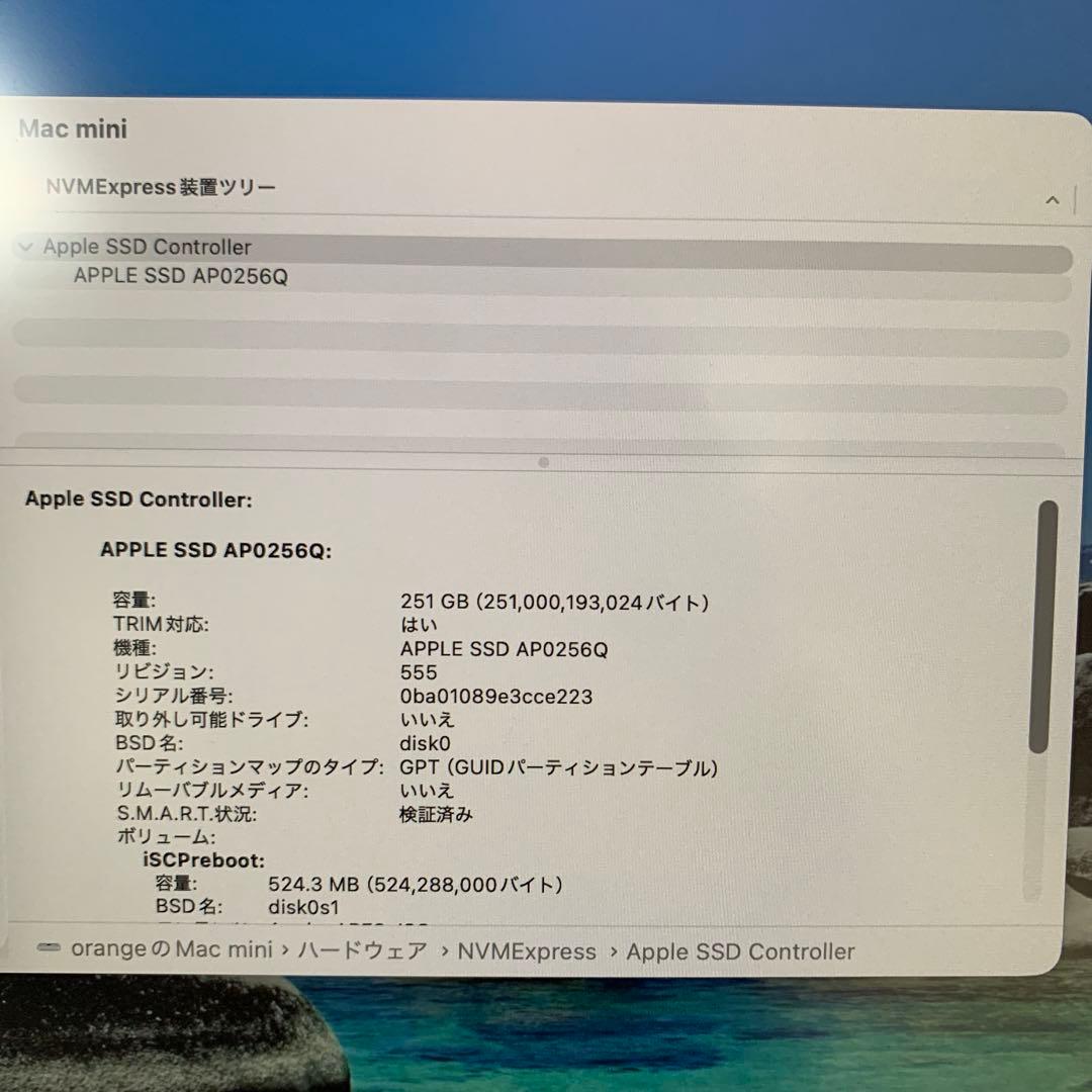 Macデスクトップ Apple M1 Mac mini 8GB SSD 256GB MGNR3J/A