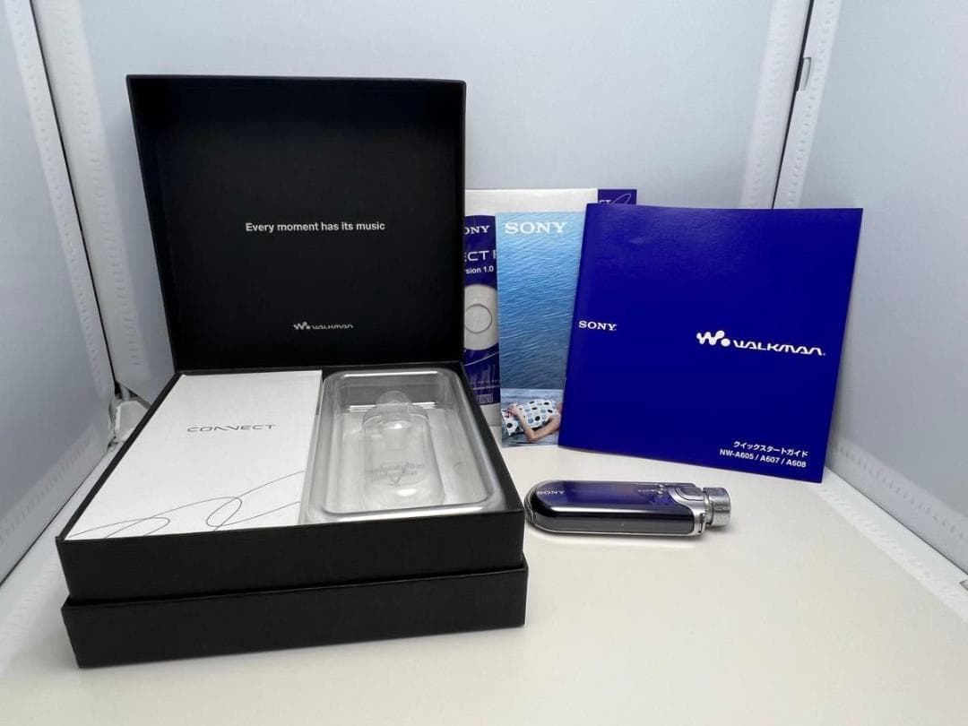 SONY ソニー WALKMAN NW-A607 1GB 電源OK ジャンク扱い