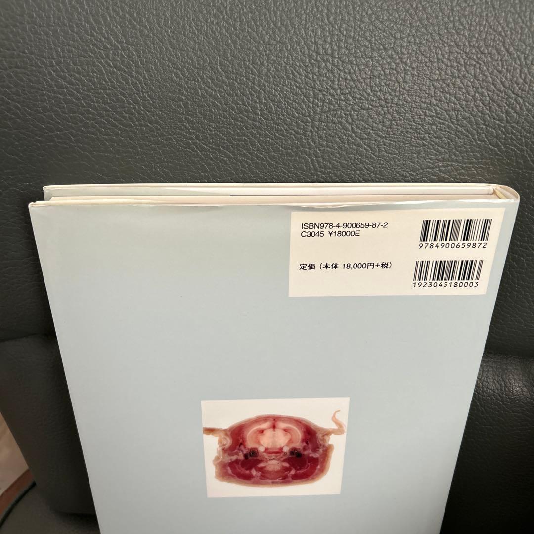 ラットの断面解剖アトラス