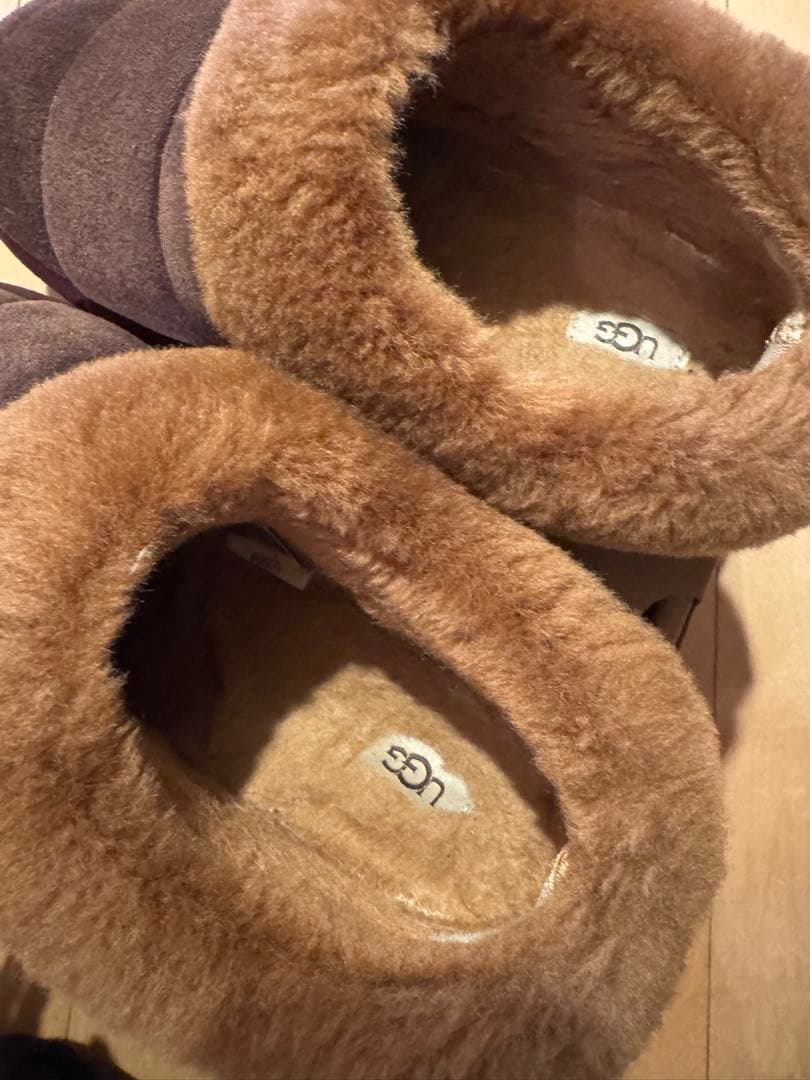 ugg タズリータ　24