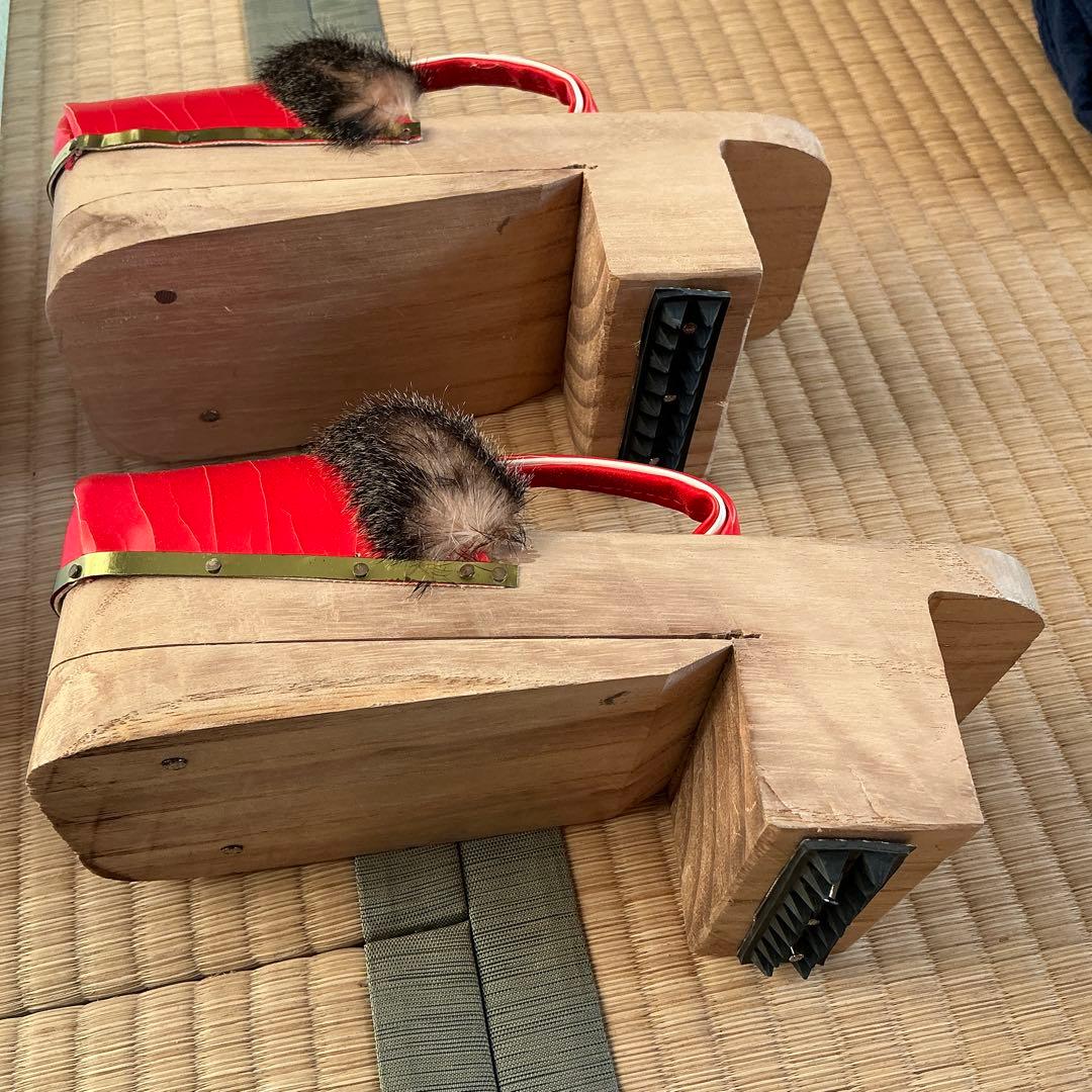 雪下駄　わらぐつの中の神様