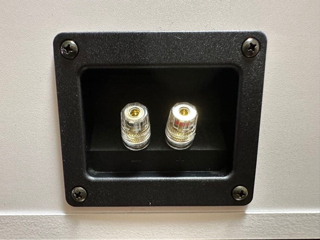 美品　DALI センタースピーカー ZENSOR VOKAL ホワイト