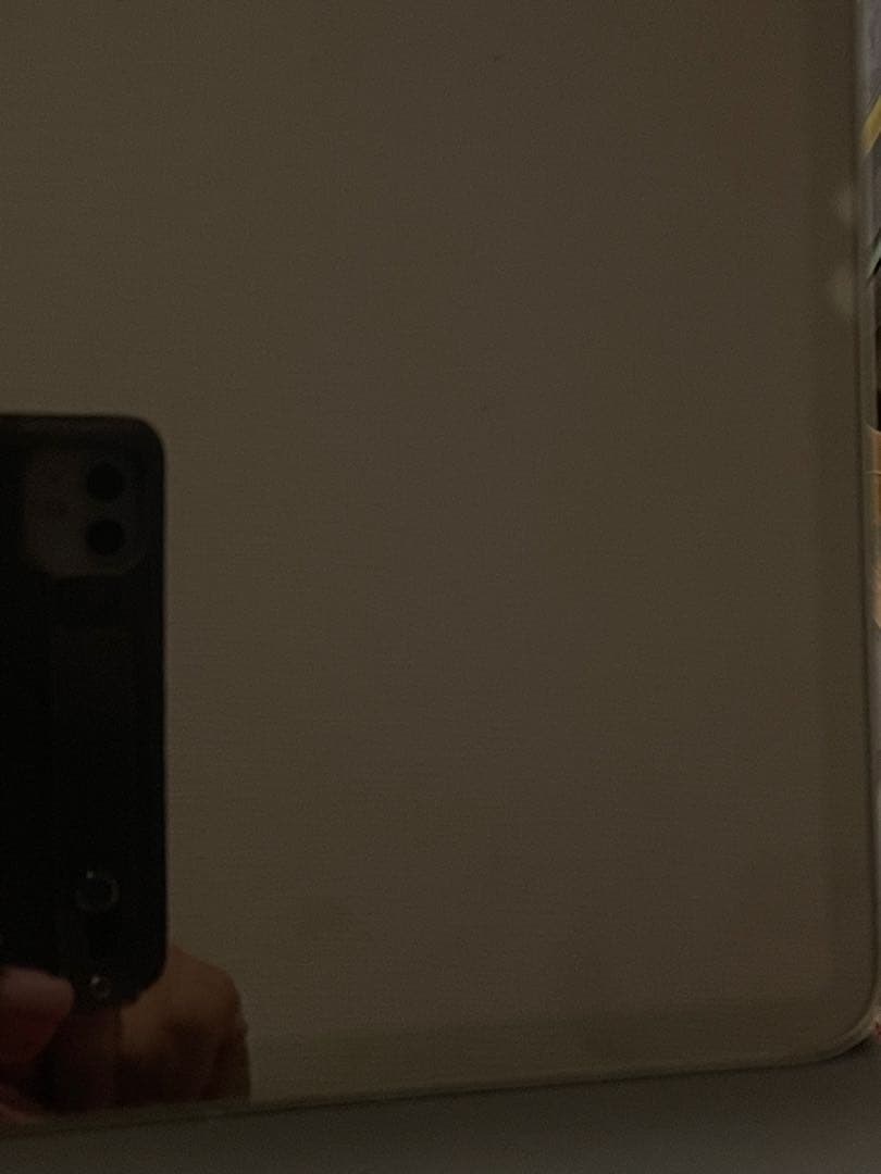 【美品】iPad Pro 12.9インチ4代目256 GB ￼