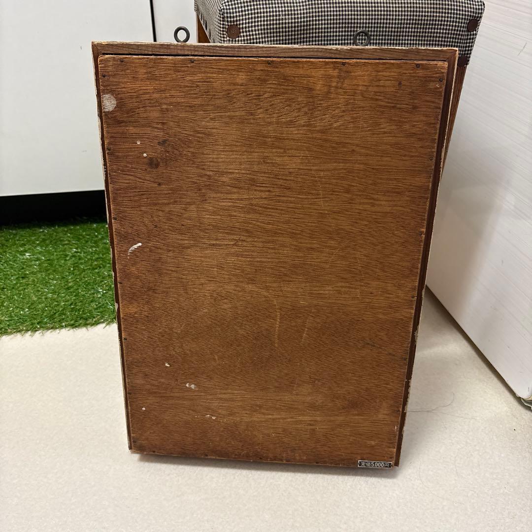 解剖模型 寄生虫標本 木製フレーム