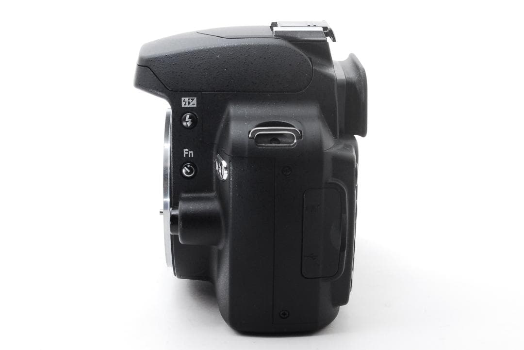 バック・アルバム付 Nikon D60 美品 標準レンズ