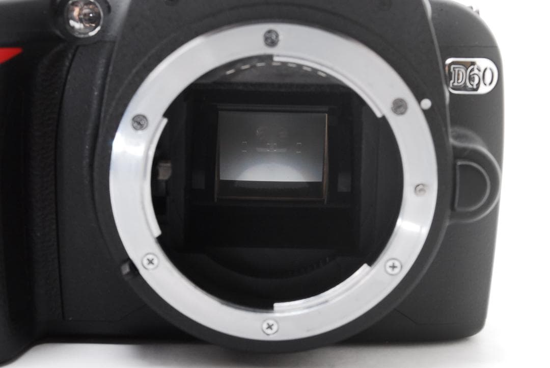 バック・アルバム付 Nikon D60 美品 標準レンズ