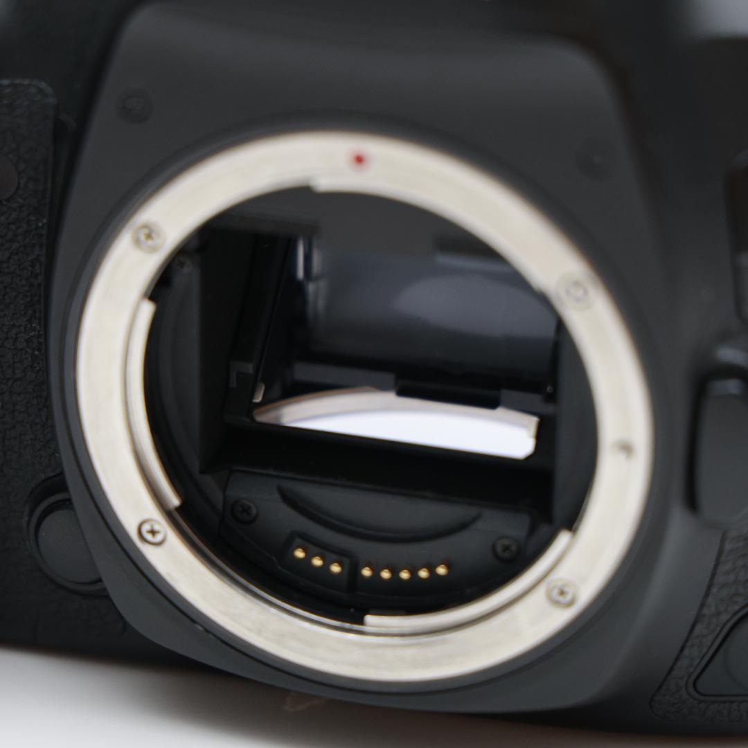 箱・付属品あり Canon EOS 5D Mark IV 本体
